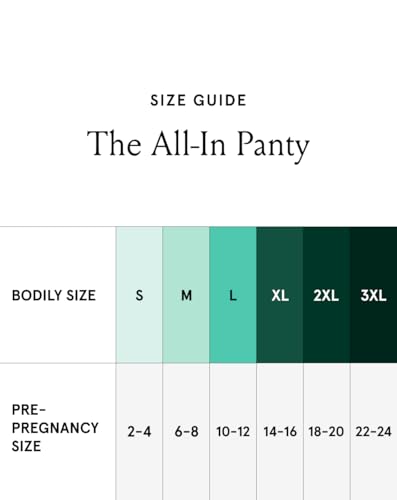 Bodily All-In Panty, Maternity, Postpartum & C-Section Underwear, 3 Pack