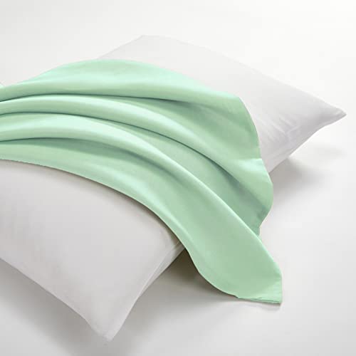 EVOLIVE Body Pillow Cover 21"x54", Microfiber, Hidden Zipper (Mint) - color: Mint