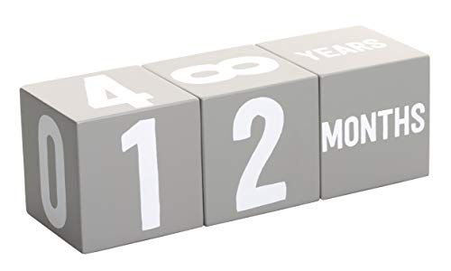 Kate & Milo First Moments Wooden Baby Milestone Blocks - color: Age Blocks