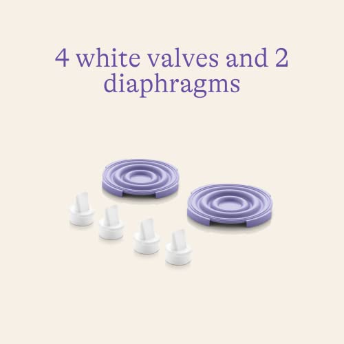 Lansinoh Breast Pump Spare Parts Bundle for Double Electric Breast Pumps
