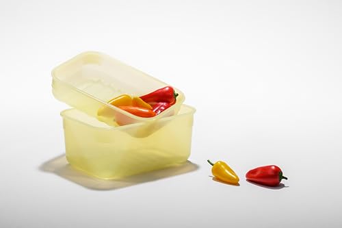 LocknLock Fresh-Block Plastic Food Storage Container | Produce Storage Containers for Fridge | Vegetable & Fruit Storage Containers for Fridge, Storage, Microwave & Dishwasher Safe, 3.2L - size: 3.2L