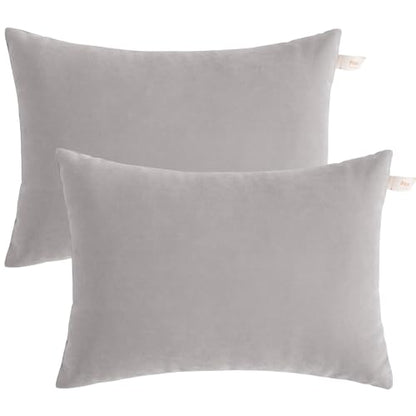 BEDSUM Plush Toddler Pillows, 13 x 18, Microfiber, 2 Pack, Light Grey - color: Light Grey, size: 13x18 inches