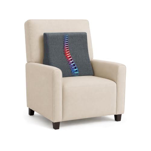 Vekkia Lumbar Support Pillow for Sofa(Gray) - color: Gray