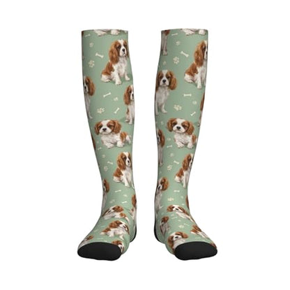 Cute Dog Compression Socks Women Men, Dog Lover Gift - color: King Charles Cavalier2