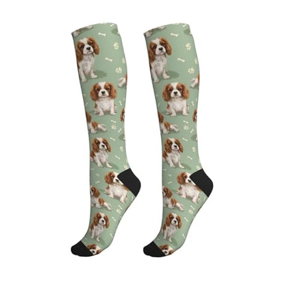 Cute Dog Compression Socks Women Men, Dog Lover Gift - color: King Charles Cavalier2
