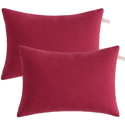BEDSUM Toddler Pillows, 13x18 Ultra Soft Microfiber Travel Pillow - Small Pillow for Kids Daycare, Flight, Travel and Daily Use - Machine Washable Pillow Inserts, 2 Pack, Red - color: Red, size: 13x18 inches