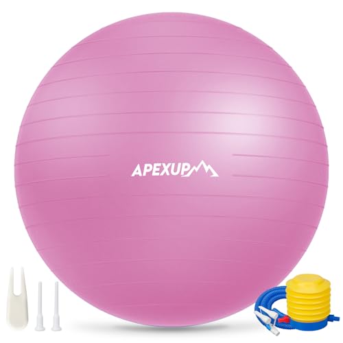 APEXUP Yoga Ball, 660 lbs Anti-Burst Exercise Ball with Pump, 5 Sizes - color: Fuschia, size: M (19"~22") 55cm