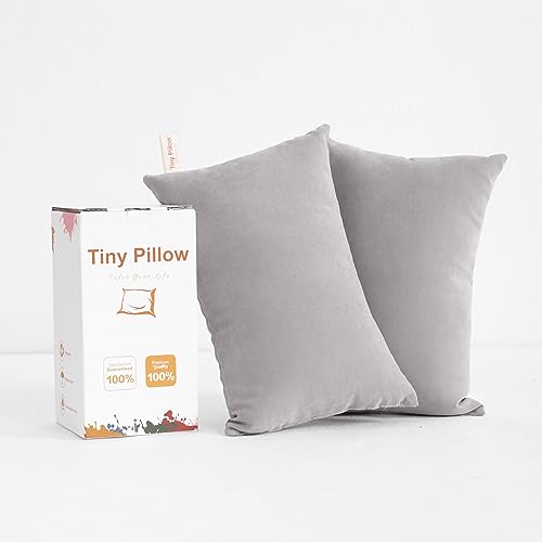 BEDSUM Plush Mini Pillows, 11 x 7, Microfiber, 2 Pack, Light Grey - color: Light Grey, size: 11x7 inches