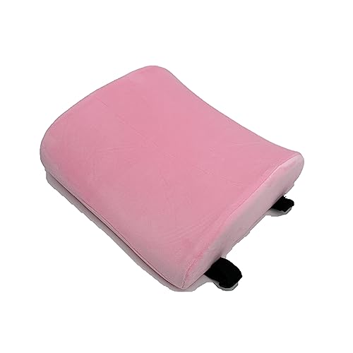 Bookishbunny Premium Memory Foam Lumbar Support Cushion Pillow (Pink) - color: Pink