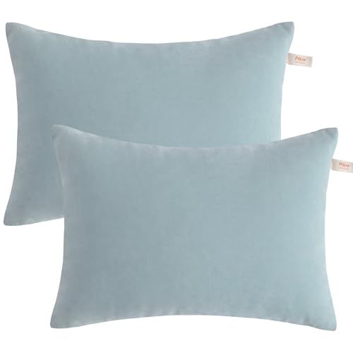BEDSUM Plush Toddler Pillows, 13 x 18, Microfiber, 2 Pack, Sea Green - color: Sea Green, size: 13x18 inches
