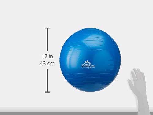 Black Mountain Products Exercise Stability Yoga Ball, Foot Pump, Ball Plug, Plug Puller, 2000 Lbs Static Weight Capacity Antiburst - color: Blue, size: 55cm