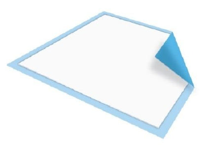 Disposable Underpad, Blue Chux (23 inches x 24 Inches 200 per Case) - size: 23 inches x 24 Inches 200 per Case