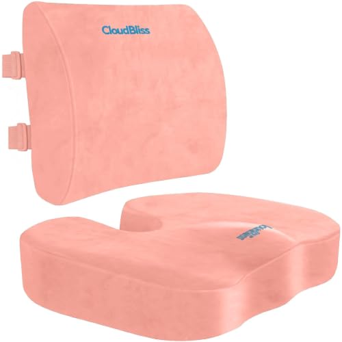 CloudBliss Ergonomic Seat Cushion & Lumbar Support Pillow Set, Pink, Large - color: Pink, size: Large
