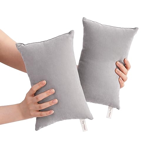 BEDSUM Plush Mini Pillows, 11 x 7, Microfiber, 2 Pack, Light Grey - color: Light Grey, size: 11x7 inches