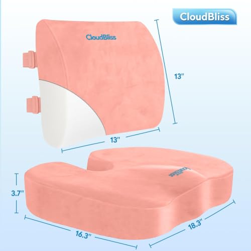 CloudBliss Ergonomic Seat Cushion & Lumbar Support Pillow Set, Pink, XL - color: Pink, size: X-Large