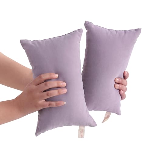 BEDSUM Plush Mini Pillows, 11 x 7, Microfiber, 2 Pack, Lavender - color: Lavender, size: 11x7 inches