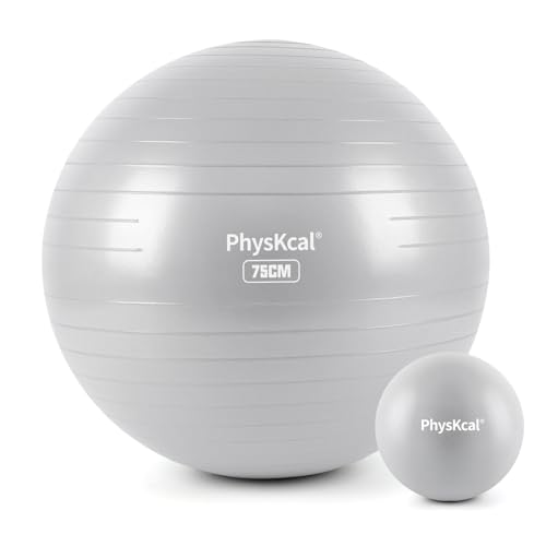 PhysKcal Yoga Ball for Exercise, Pilates Set, 4 Sizes Fitness Ball for Workout, Birthing, Pregnancy, Physical Therapy- Pump Included - color: Glacier Gray, size: L (26-29''/68-75cm)