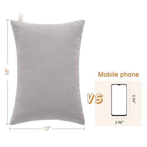 BEDSUM Plush Toddler Pillows, 13 x 18, Microfiber, 2 Pack, Light Grey - color: Light Grey, size: 13x18 inches