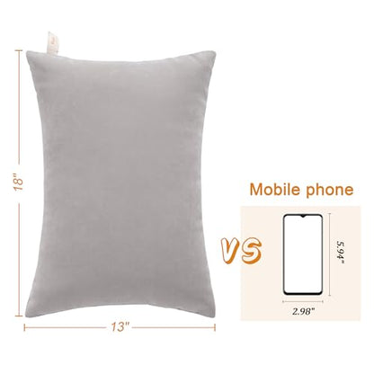 BEDSUM Plush Toddler Pillows, 13 x 18, Microfiber, 2 Pack, Light Grey - color: Light Grey, size: 13x18 inches