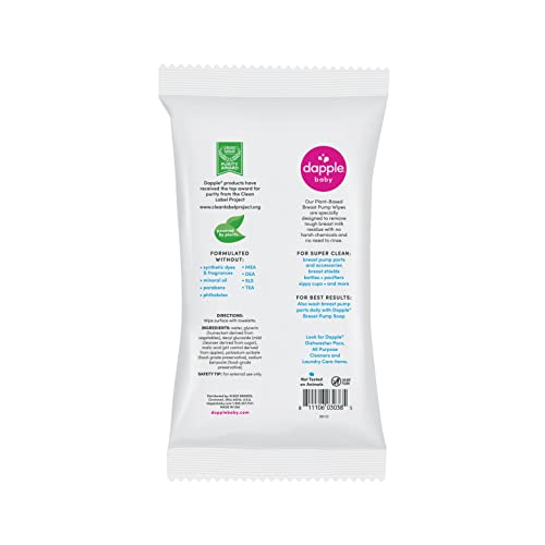Dapple Baby - Breast Pump Wipes, Wipes Pouch - 25 Count (2 Pack) - size: 25 Count (Pack of 2)