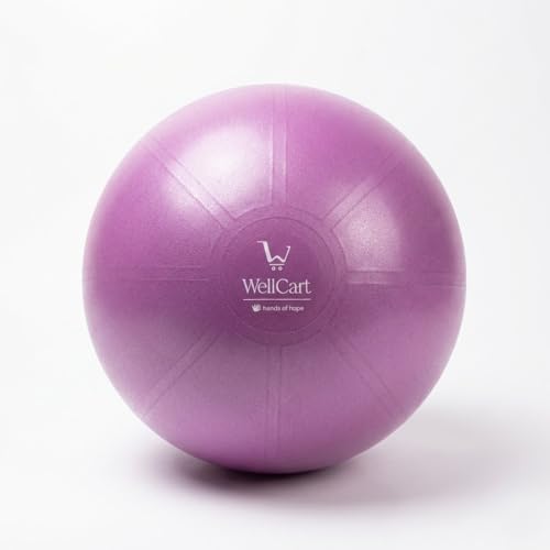 Purple 25-Inch Inflatable Exercise Ball – PVC Core Strengthening & Balance Ball - color: Purple