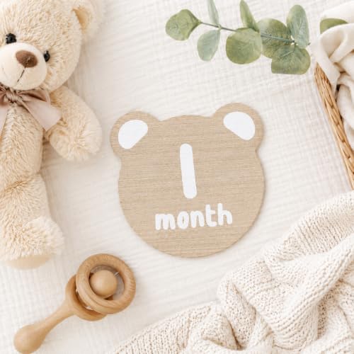 Kate & Milo Teddy Bear Baby Milestone Marker Discs, 1-12 Months - color: Bear