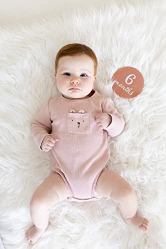 Pearhead Acrylic Monthly Milestone Photo Cards, Months 1-12, Pink - color: Blush Milestone Discs, size: One Size