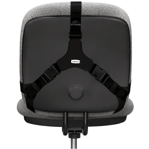 Fellowes Professional Series Back Support, Black (8037601), True (Pack of 2) - size: True (Pack of 2)