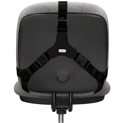 Fellowes Professional Series Back Support, Black (8037601), True (Pack of 2) - size: True (Pack of 2)