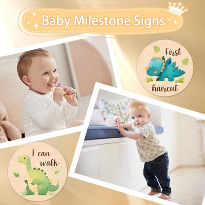 Baby Monthly Milestone, Dinosaur Monthly Milestone Sign, Newborn Gift 13Pcs - color: Dinosaur1