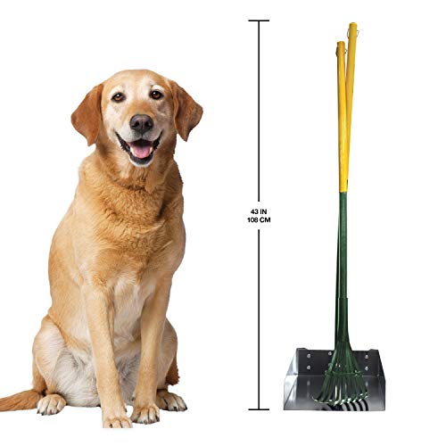 Four Paws Dog Rake & Scooper Set for Pet Waste Pick-Up, Large, 2 Count - size: Large, 9.5" x 10" x 38", style: Rake & Pan Set