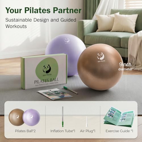 Slim Panda Pilates Ball 9 Inch Anti-Burst Small Exercise Ball - color: Black & Silver