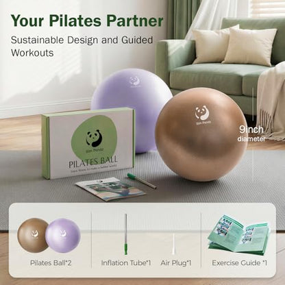 Slim Panda Pilates Ball 9 Inch Anti-Burst Small Exercise Ball - color: Black & Silver