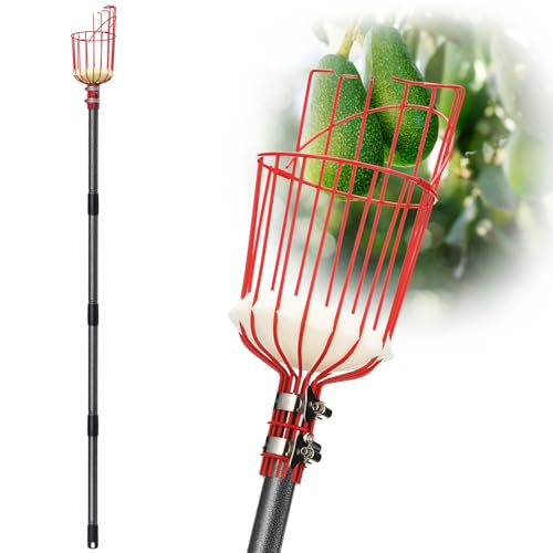 DonSail Fruit Picker Pole Tool with Basket Telescoping - Adjustable Mango Picker 35-120 inch Long Handle - Apple Orange Avocado Acorn Lemon Pear Pomelo Chery Picker for Tree - size: 35-120"