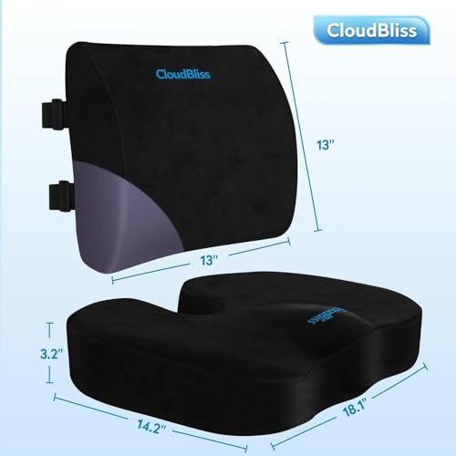 CloudBliss Ergonomic Seat Cushion & Lumbar Support Pillow Set, Black,Large - color: Black, size: Large