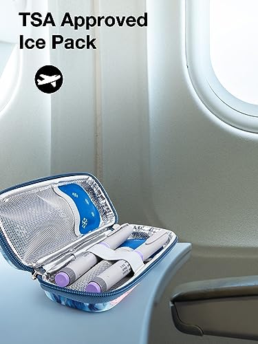 Leng Ke TSA Approved Ice Packs 4 pcs, Upgraded Reusable Ice Packs for Insulin Cooler Travel Case - color: #4pcs Ice Packs