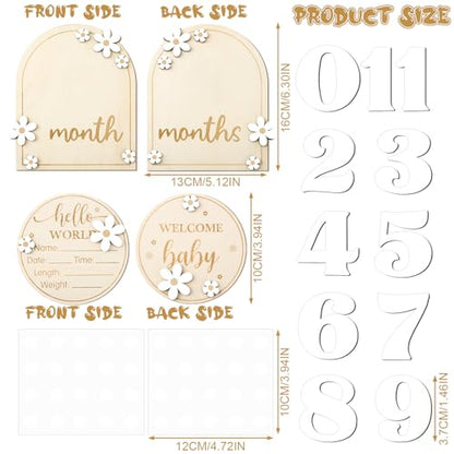 Baby Monthly Milestone Cards with Hello World Newborn Sign