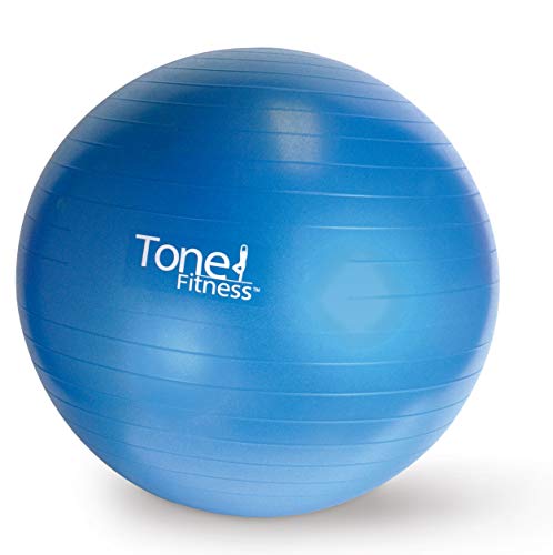 Tone Fitness Stability Ball/Exercise Ball | Exercise Equipment - color: Blue, 65 Centimeters, size: 65-centimeter