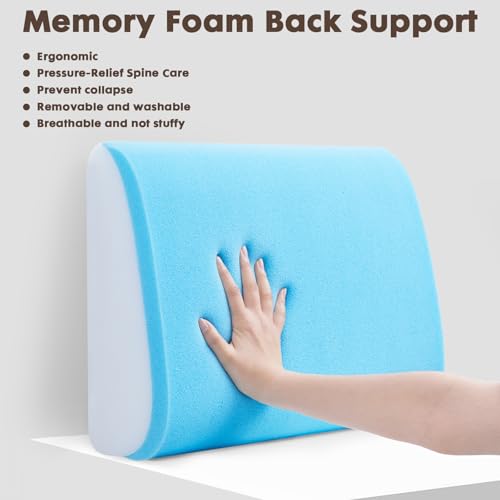 Large Lumbar Cushion Lumbar Support Pillow, Ergonomic Lumbar Pillow with Machine Washable, Help Relieve Pain of Back, Lumbar, Tailbone and Sciatic Nerve Support. (Navy) - color: Navy