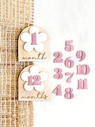 A Set of Baby Monthly Milestone Signs,Newborn 1-12 Months Wooden Milestone Markers, Baby Growth Record Photo Atmosphere Props, Memorial Photo Prop,Babygirl Boy Essentials - color: B-Pink Numbers