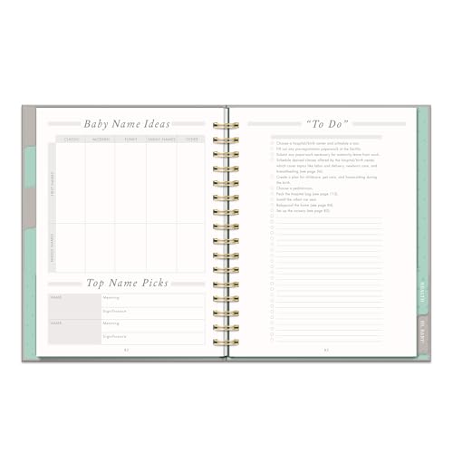Studio Oh! Countdown to Baby Pregnancy Journal for Women - color: Gold
