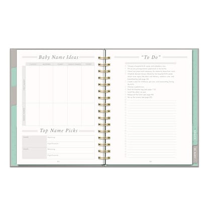 Studio Oh! Countdown to Baby Pregnancy Journal for Women - color: Gold