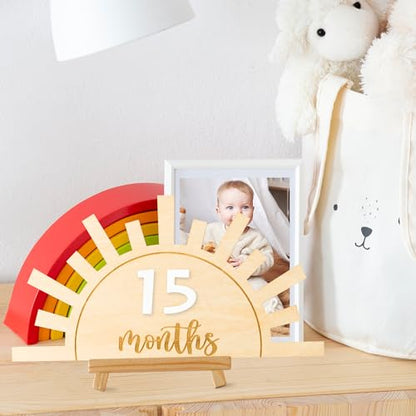 R HORSE Baby Monthly Milestone Card with Number Cards