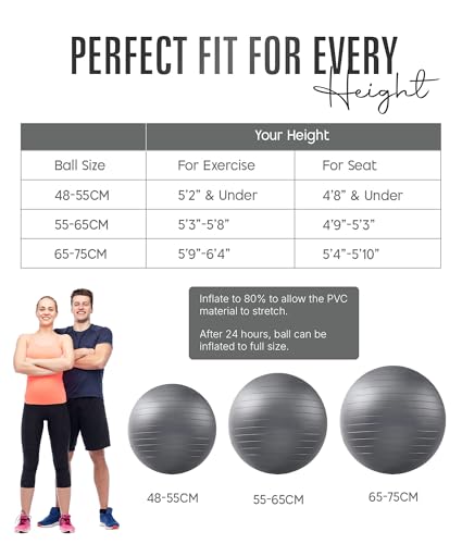 ROMIX Exercise Ball, Anti-Burst Yoga and Birthing Ball with Pump, Home Use - color: Silver