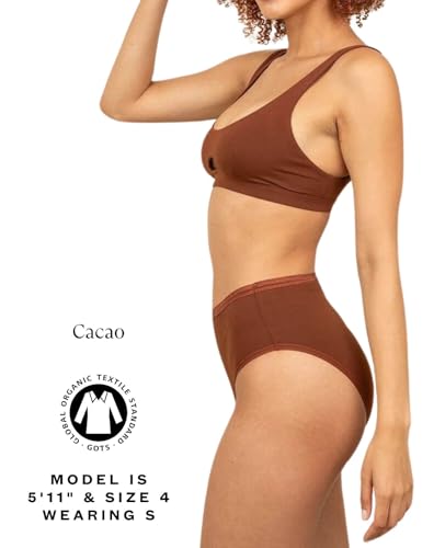 Subset Women's Organic Cotton High-Rise Brief, Knickey Underwear, 3-Pack - color: Cacao + Spice + Wheat, size: X-Large