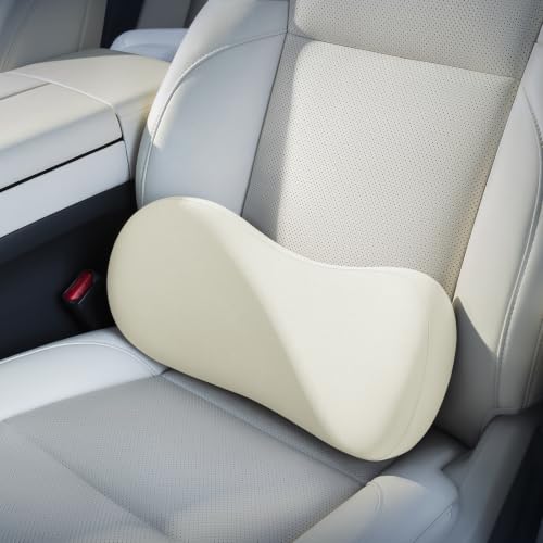 BABUR Lumbar Support Pillow for Car, Coccyx Pain Relief Cushion - color: Beige