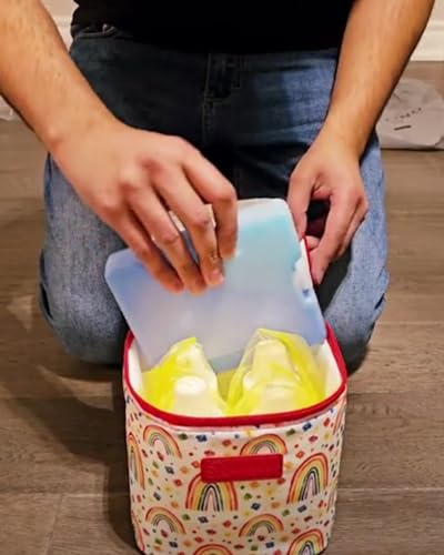 Sarah Wells Cold Gold Breastmilk Cooler with Ice Pack (Gray) - color: Rainbows