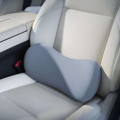 BABUR Lumbar Support Pillow for Car, Coccyx Pain Relief Cushion - color: Blue