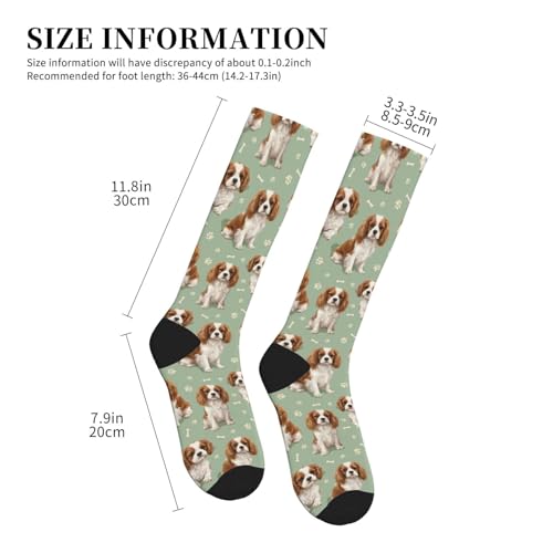 Cute Dog Compression Socks Women Men, Dog Lover Gift - color: King Charles Cavalier2