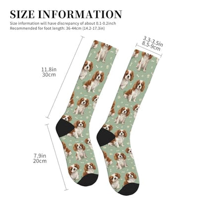 Cute Dog Compression Socks Women Men, Dog Lover Gift - color: King Charles Cavalier2